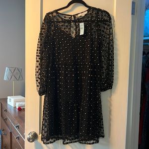 NWT Loft Black and Gold Dress